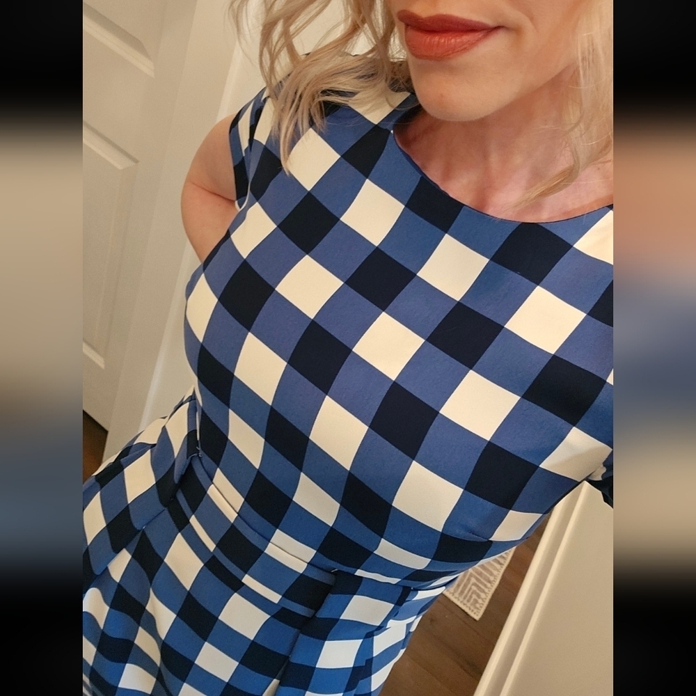 NWT Cynthia Steffe Blue and White Checkered Dress - Size 0 - Picture 6 of 16